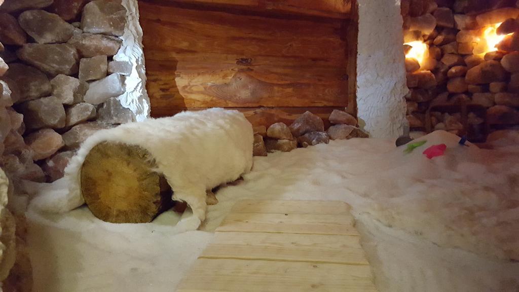 Penzion Safran Ždiar Dış mekan fotoğraf