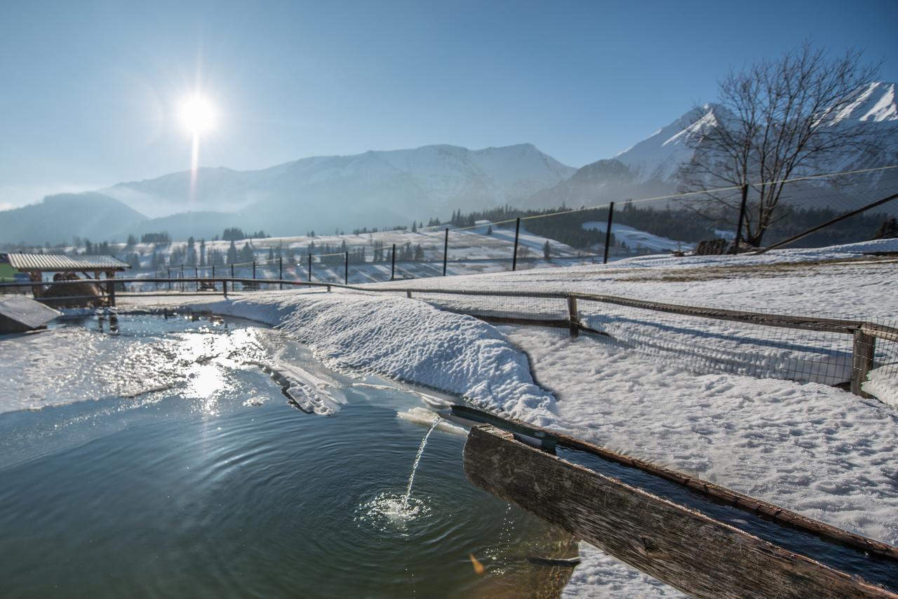 Penzion Safran Ždiar Dış mekan fotoğraf